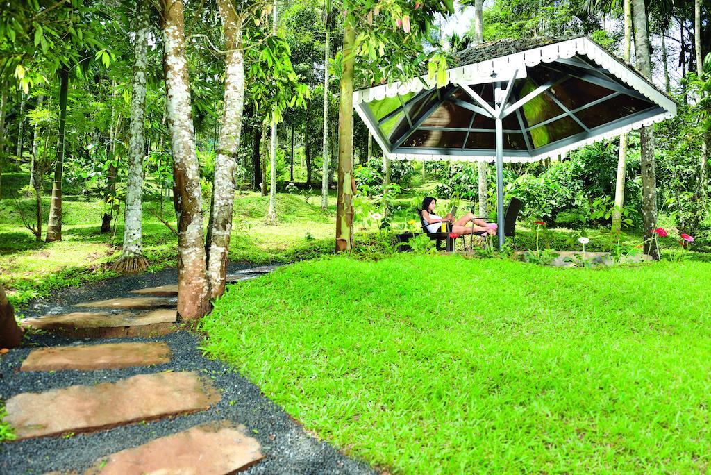 The Woods Resorts Wayanad Sultan Bathery Εξωτερικό φωτογραφία