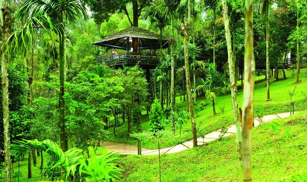 The Woods Resorts Wayanad Sultan Bathery Εξωτερικό φωτογραφία