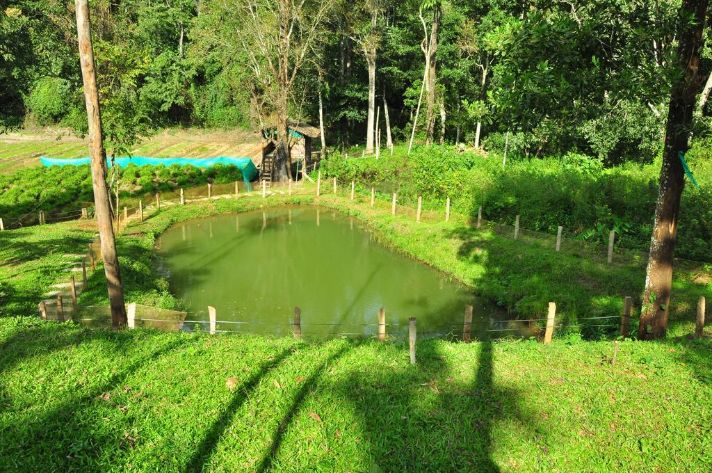 The Woods Resorts Wayanad Sultan Bathery Εξωτερικό φωτογραφία