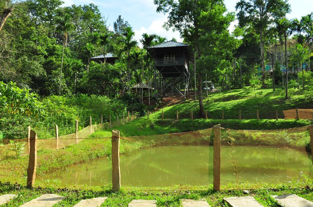 The Woods Resorts Wayanad Sultan Bathery Εξωτερικό φωτογραφία