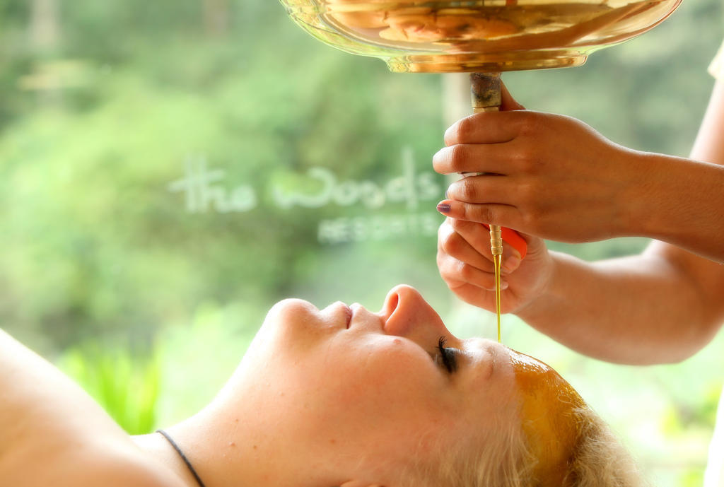 The Woods Resorts Wayanad Sultan Bathery Εξωτερικό φωτογραφία