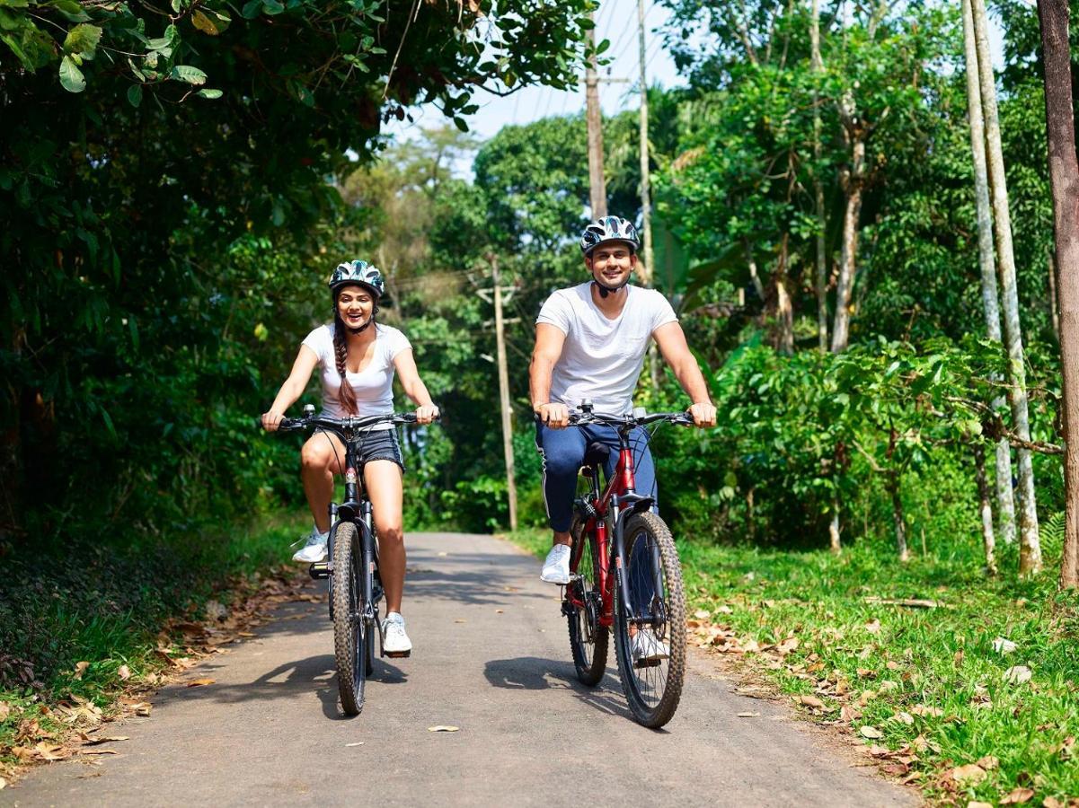 The Woods Resorts Wayanad Sultan Bathery Εξωτερικό φωτογραφία