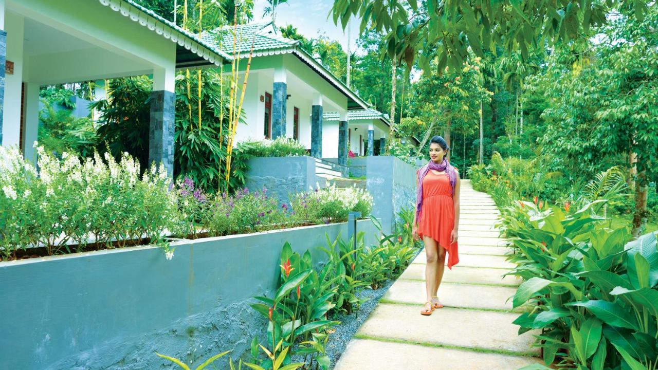 The Woods Resorts Wayanad Sultan Bathery Εξωτερικό φωτογραφία