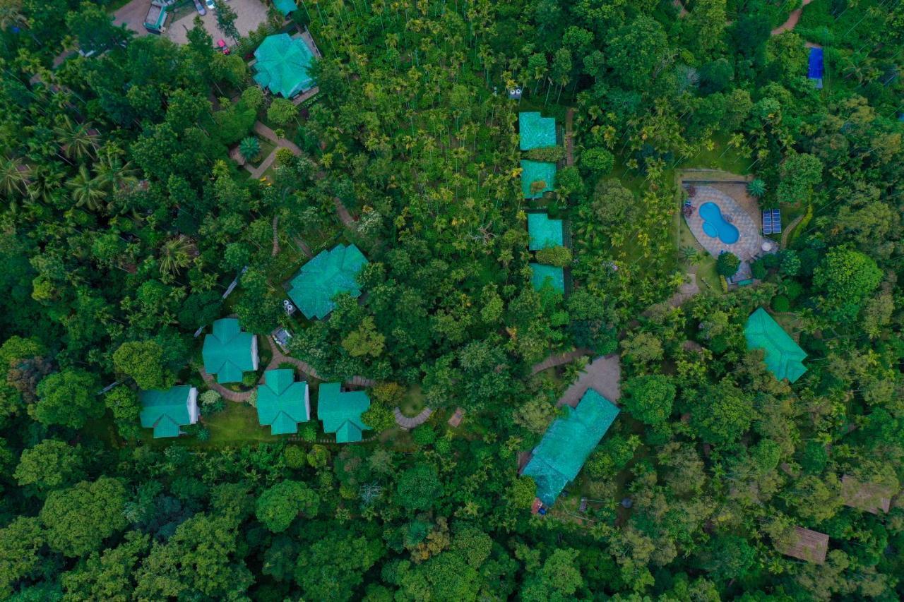 The Woods Resorts Wayanad Sultan Bathery Εξωτερικό φωτογραφία