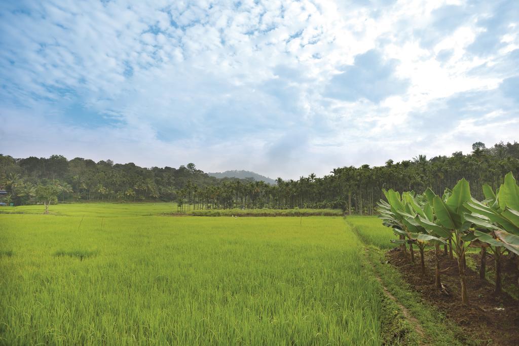 The Woods Resorts Wayanad Sultan Bathery Εξωτερικό φωτογραφία