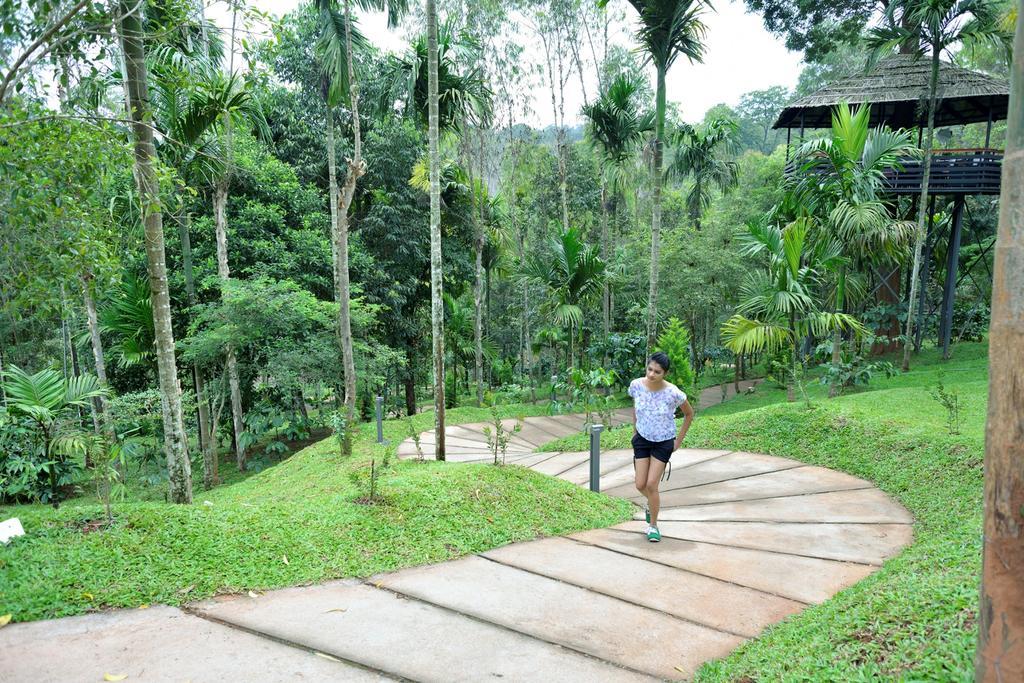 The Woods Resorts Wayanad Sultan Bathery Εξωτερικό φωτογραφία