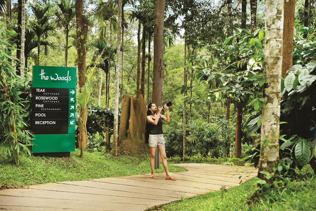 The Woods Resorts Wayanad Sultan Bathery Εξωτερικό φωτογραφία