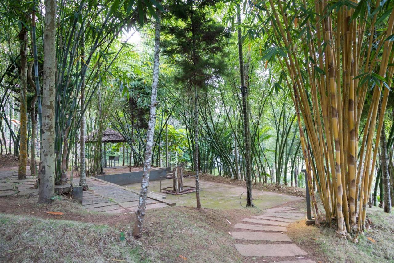 The Woods Resorts Wayanad Sultan Bathery Εξωτερικό φωτογραφία