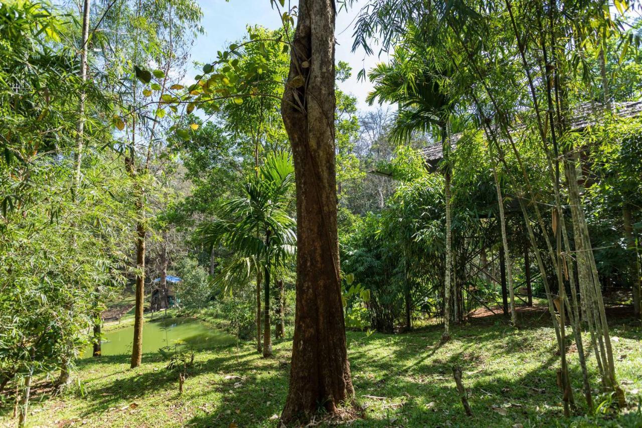 The Woods Resorts Wayanad Sultan Bathery Εξωτερικό φωτογραφία