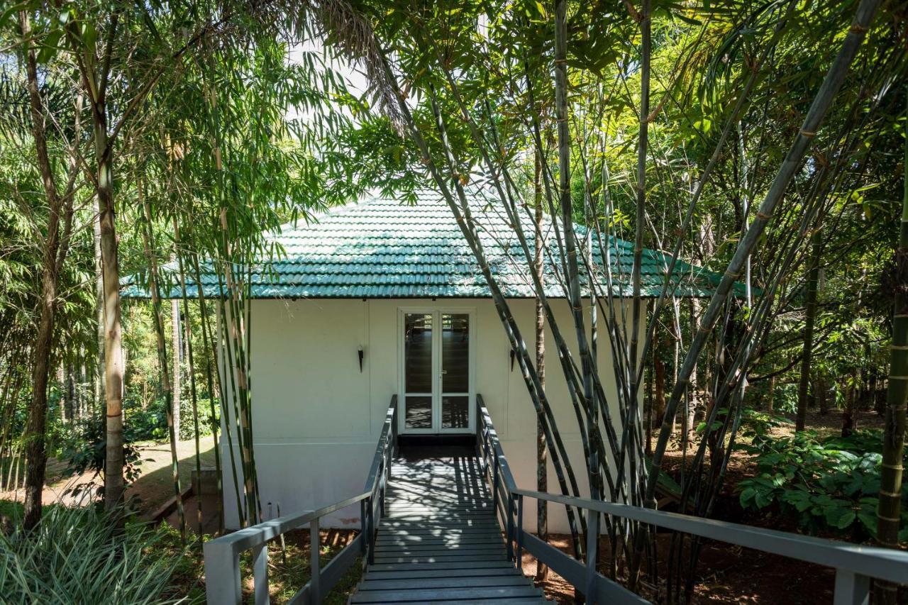 The Woods Resorts Wayanad Sultan Bathery Εξωτερικό φωτογραφία